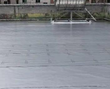 竞秀测漏水电话